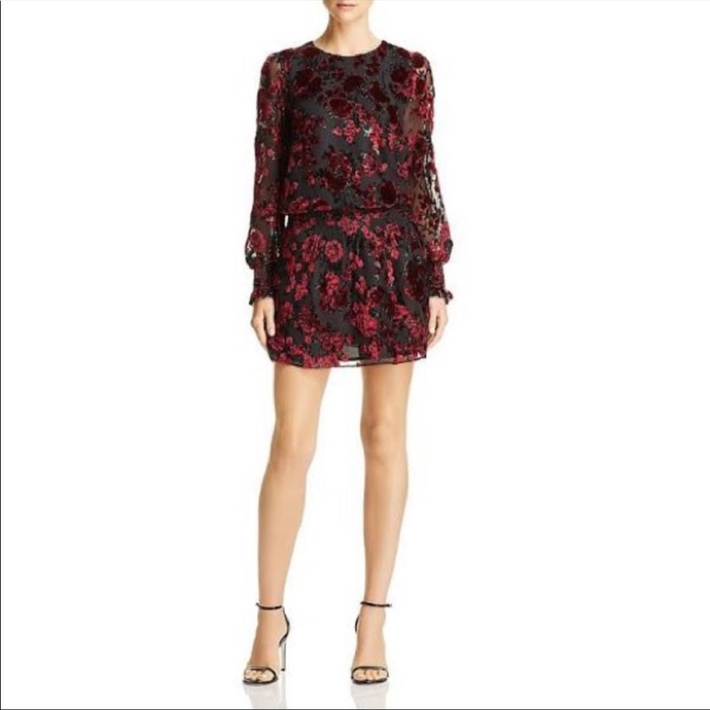 Parker | Carmindy Smocked Floral Velvet Dress